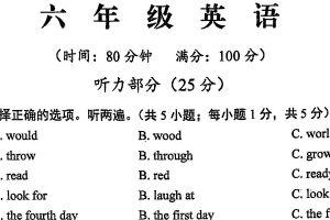 江苏省泰州市靖江市2024-2025学年六年级上学期期末英语试题（含答案）