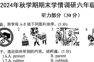 江苏省盐城市阜宁县2024-2025学年六年级上学期期末英语试题（含答案）