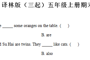 2024-2025学年江苏省宿迁市译林版（三起）五年级上册期末调研监测英语试卷（含解析）