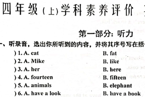 江苏省泰州市兴化市2024-2025学年四年级上学期期末英语试题（含答案）