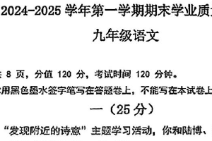 江苏省南京市建邺区2024-2025学年九年级上学期期末语文试题（含答案）