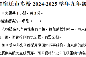 江苏省宿迁市多校2024-2025学年九年级（上）期末语文试卷（含答案）
