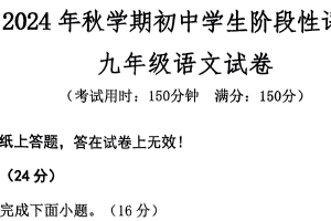 江苏省泰州市兴化市2024-2025学年九年级上学期期末语文试题（含答案）