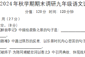 江苏省盐城市大丰区2024-2025学年九年级上学期期末联考语文试题（含答案）