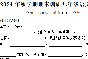 江苏省盐城市盐城经济技术开发区2024-2025学年九年级上学期1月期末语文试题（含答案）