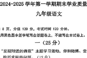 江苏省南京市金陵中学河西分校2024-2025学年九年级上学期期末考试语文试题（含答案）