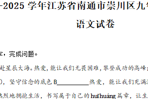 江苏省南通市崇川区2024-2025学年九年级上学期期末语文试题（含解析）