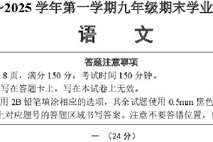 江苏省宿迁市泗阳县2024-2025学年九年级上学期期末考试语文试卷（含答案）