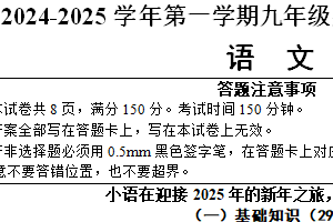 江苏省宿迁市泗阳县致远中学2024-2025学年九年级上学期12月期末语文试题（含答案）