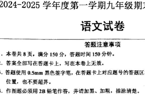 江苏省宿迁市宿城区新区教学共同体2024-2025学年九年级上学期1月期末语文试题（含答案）