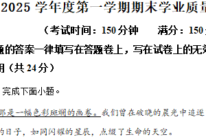 江苏省泰州市靖江市2024-2025学年九年级上学期期末语文试题（含解析）