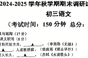 江苏省无锡市锡山区2024—2025学年九年级上学期期末考试语文试题（含答案）