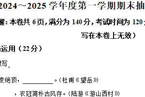 江苏省徐州市2024-2025学年九年级上学期期末语文试题（含解析）
