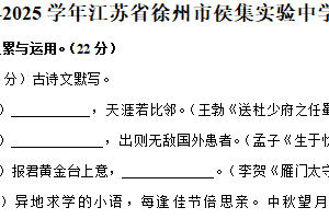 江苏省徐州市开发区侯集实验中学2024~2025学年九年级上学期期末语文试卷（含解析）