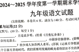江苏省徐州市开发区中学2024-2025学年九年级上学期期末考试语文试题（含答案）