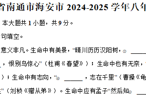 江苏省南通市海安市2024-2025学年八年级（上）期末语文试卷（含解析）
