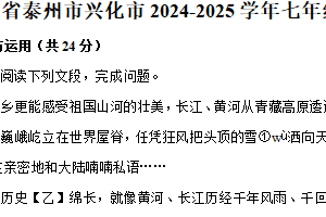 江苏省泰州市兴化市2024-2025学年七年级上学期期末考试语文试卷（含答案）