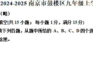 江苏省南京市鼓楼区2024-2025学年九年级上学期期末考试英语试题（含解析）
