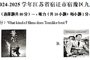 江苏省宿迁市宿豫区2024-2025学年九年级上学期1月期末英语试题（含解析）