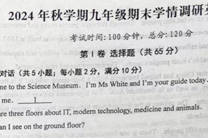 江苏省盐城市阜宁县2024-2025学年九年级上学期1月期末英语试题（含答案）