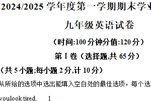 江苏省盐城市盐都区2024-2025学年九年级上学期期末考试英语试题（含解析）