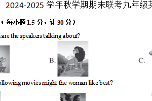 江苏省扬州市仪征市联考2024-2025学年九年级上学期1月期末考试英语试题（含答案+听力音频）