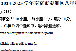 江苏省南京市秦淮区2024-2025学年八年级上学期期末考试英语试题（含解析）