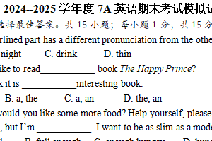 江苏省连云港市东海县初级中学2024-2025学年七年级上学期期末模拟英语试卷（含答案）