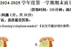 江苏省南通市启东市2024-2025学年七年级上学期期末英语试题（含解析+听力音频）