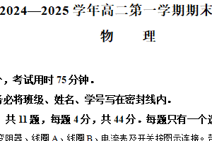 江苏省苏州市部分校2024-2025学年高二上学期期末迎考物理试题（含解析）