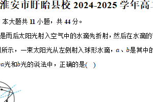 江苏省淮安市盱眙县校2024-2025学年高二（上）期末物理试卷（含解析）