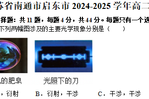 江苏省南通市启东市2024-2025学年高二上学期1月期末调研测试物理试题（含解析）