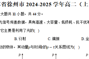 江苏省徐州市2024-2025学年高二（上）期末物理试卷（含解析）