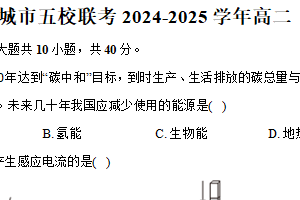 江苏省盐城市五校联考2024-2025学年高二（上）期末物理试卷（含解析）