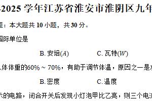2024-2025学年江苏省淮安市淮阴区九年级（上）期末物理试卷（含解析）