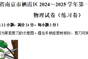 江苏省南京市栖霞区2024-2025学年九年级上学期期末物理试卷（含解析）