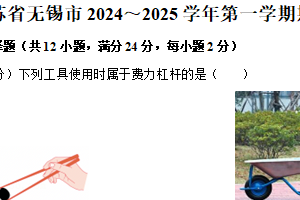 江苏省无锡市2024-2025学年上学期期末九年级物理调研试卷（含解析）