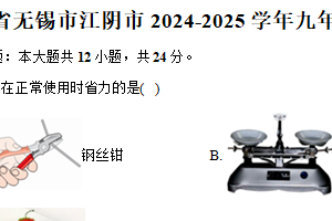 江苏省无锡市江阴市2024-2025学年九年级（上）期末物理试卷（含解析）