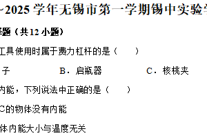江苏省无锡市锡中实验学校2024-2025学年上学期九年级物理期末考试卷（含解析）