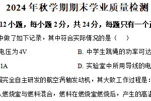 江苏省无锡市新吴区2024-2025学年九年级上学期期末物理试题（含答案）