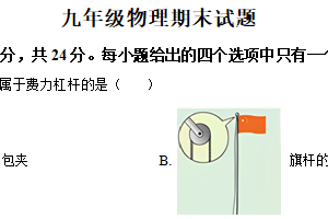 江苏省徐州市沛县沛县五中联盟学区2024-2025学年九年级上学期期末物理试题（含答案）