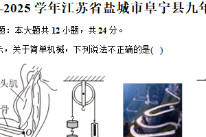 江苏省盐城市阜宁县2024-2025学年九年级上学期1月期末物理试题（含解析）
