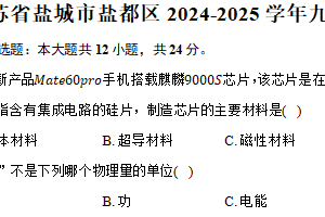 江苏省盐城市盐都区2024-2025学年九年级（上）期末物理试卷（含解析）