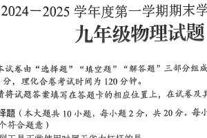 江苏省连云港市2024-2025学年九年级物理上学期期末试卷（含答案）