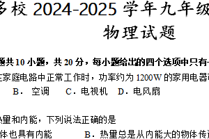 江苏省南京市多校2024-2025学年九年级上学期期末考试物理试题（含答案）