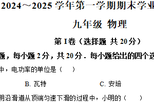 江苏省南通市海安市2024-2025学年九年级上学期期末物理试题（含解析）