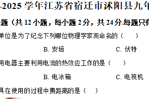 江苏省宿迁市沭阳县2024-2025学年九年级上学期期末考试物理试题（含解析）