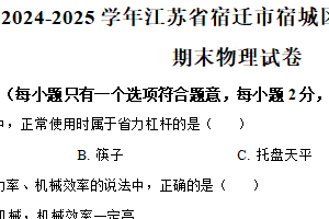 江苏省宿迁市宿城区2024-2025学年九年级上学期期末考试物理试题（含解析）