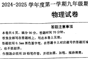 江苏省宿迁市宿城区新区教学共同体2024-2025学年九年级上学期1月期末物理试题（含答案）
