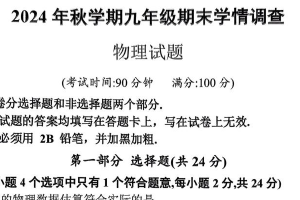 江苏省泰州市泰兴市2024-2025学年九年级上学期1月期末物理试题（含答案）